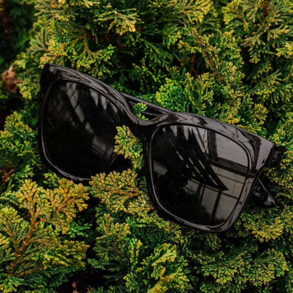 Azalea - Midnight Polarized - Image 6