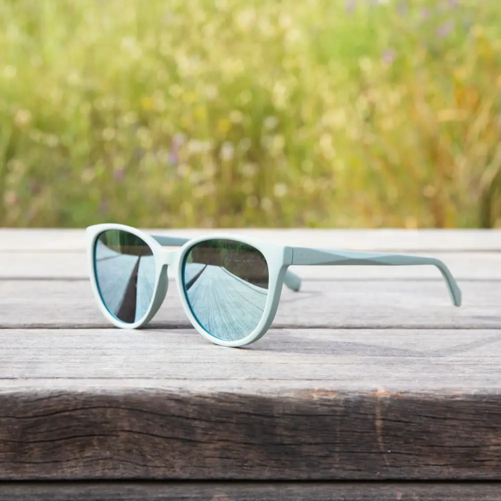 Paloma - Agave Polarized - Image 5