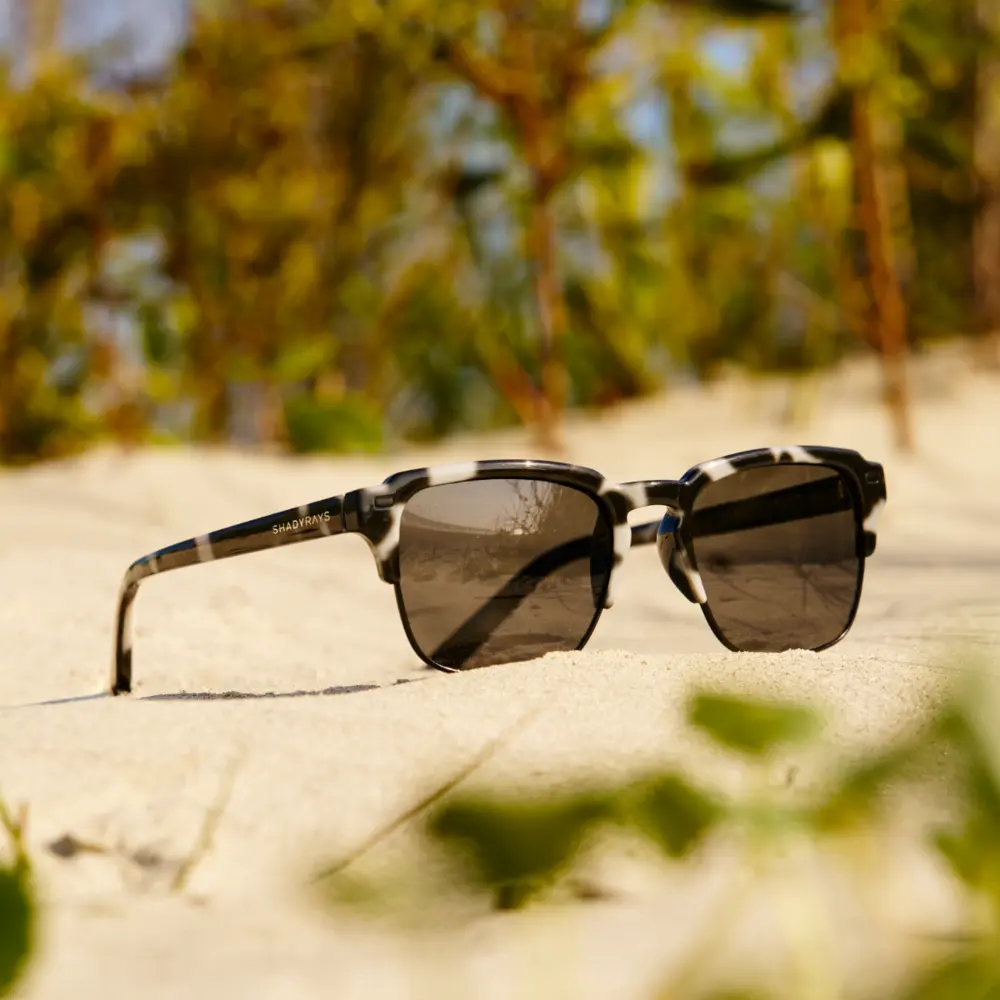 Kingbrook - Marble Tortoise Polarized - Image 5