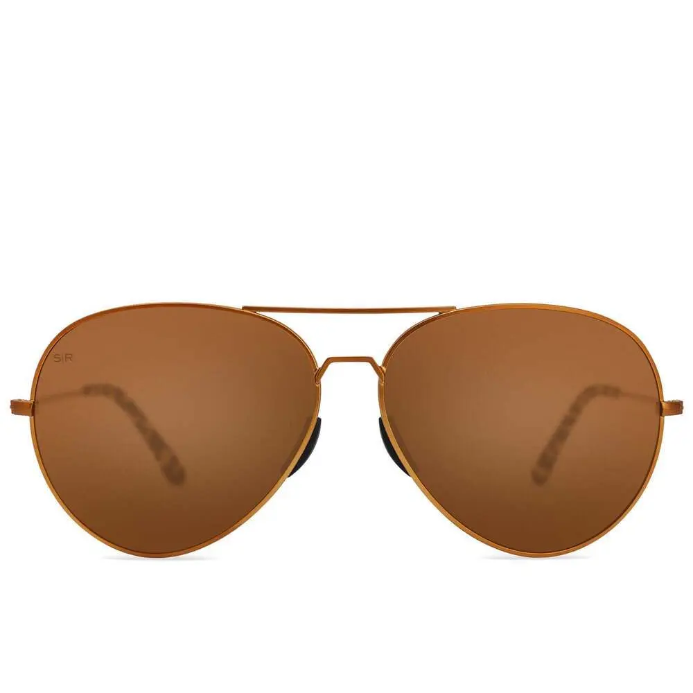 Tangle Free Aviator - Prairie Tortoise Polarized - Image 2