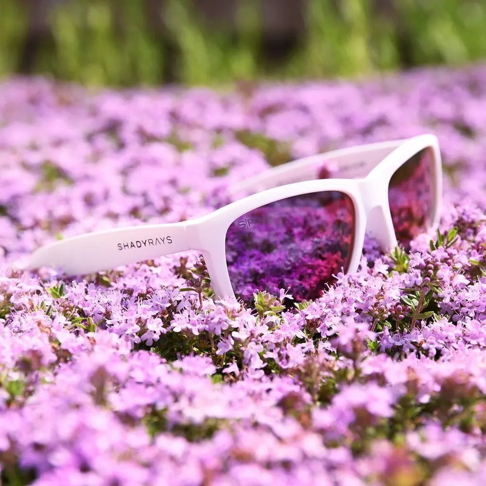 Kid's Signature Series - White Purple Polarized - Image 5