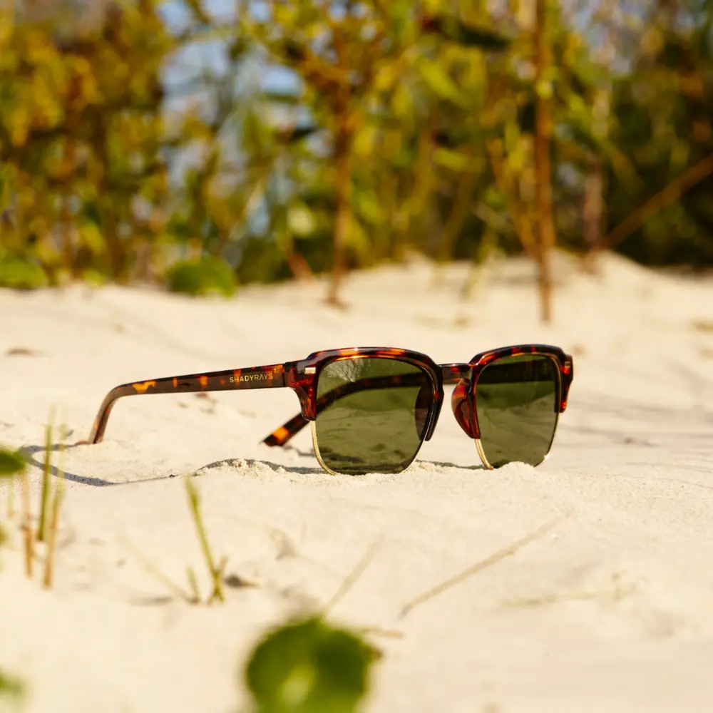 Kingbrook - Tortoise Green Polarized - Image 5