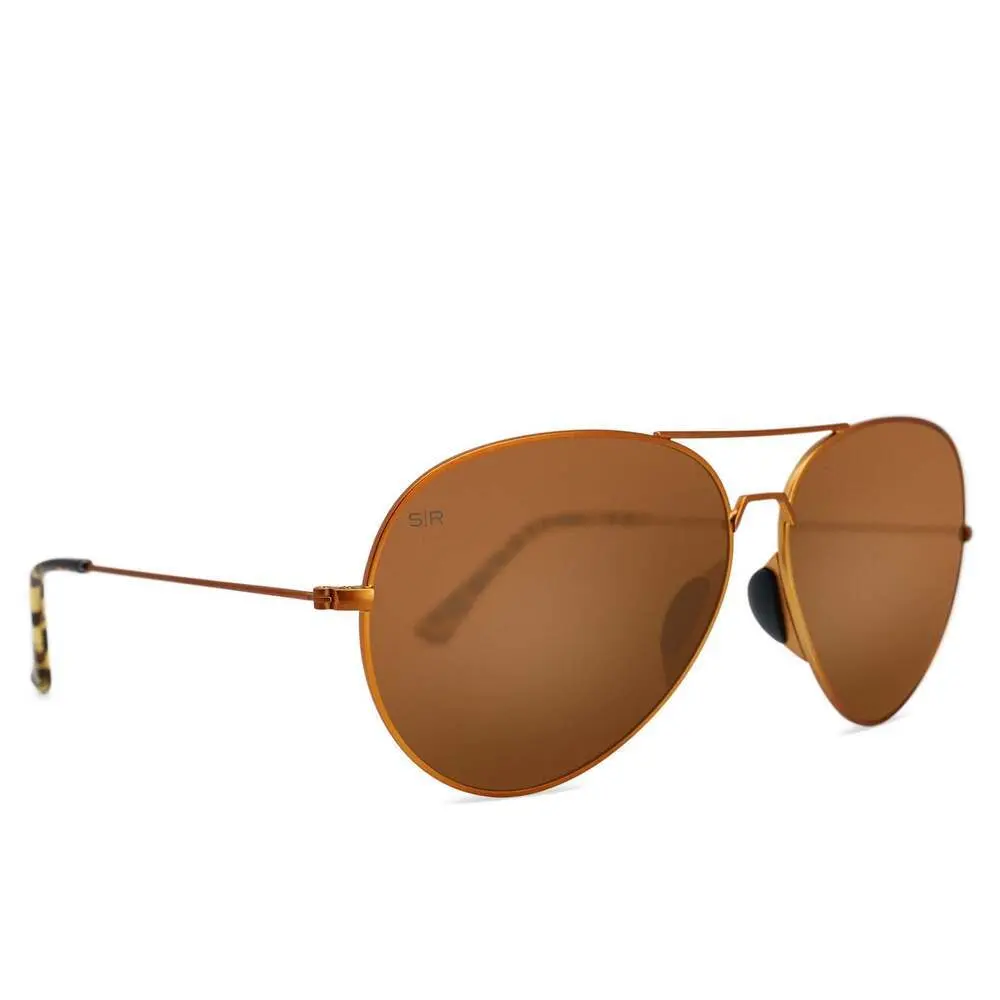 Tangle Free Aviator - Prairie Tortoise Polarized - Image 4